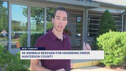 Dozens of animals removed from Hunterdon County home amid cruelty probe News Clip