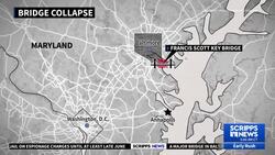 Baltimore bridge collapses after ship collision, sends cars into water News Clip