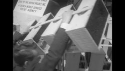 Heifer Project sends animals and bees to Korean farmers News Clip