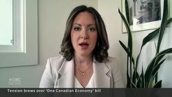 Carney’s One Canadian Economy bill facing pushback News Clip