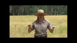 Interpreted Activities Instructional Video