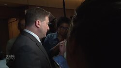 Mendicino pressed on handling of Bernardo transfer News Clip