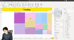 Business Intelligence with Microsoft Power BI - with Material - TreeMap in Power BI Instructional Video