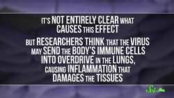 6 Dangerous Diseases Hiding in U.S. Backyards Instructional Video