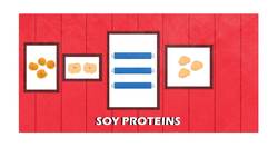 TED-Ed: The ingredient in almost everything you eat | Francesca Bot Instructional Video