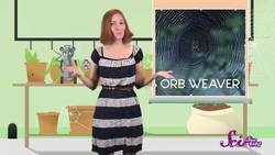 Squeaks Gets Scared! | SciShow Kids Compilation Instructional Video