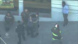 At least 4 dead in shooting at San Francisco UPS plant News Clip