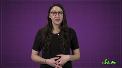 Good News: Daffodils Are The Worst Instructional Video