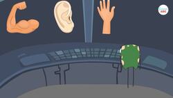 Emotions and the Brain: What is the limbic system? Instructional Video