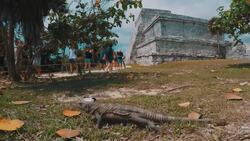Tulum Ruins Instructional Video