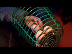 Community Egg Co-op Instructional Video