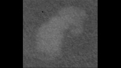 Our Solar System's Planets: Saturn Instructional Video