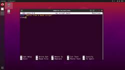 Practical Linux Command Line 2.0 - Create and Execute a Bash File Instructional Video