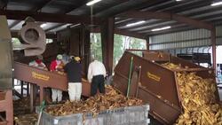 Florence batters North Carolina crops, church News Clip