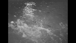 "Havalanta" swim meet at Atlanta's Chastain Park features young competitors from Havana and Atlanta News Clip