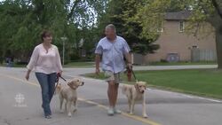 Lyme disease growing in Canada News Clip