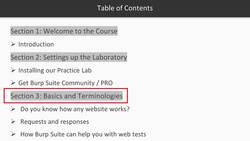 Burp Suite Unfiltered - Go from a Beginner to Advanced - Introduction Instructional Video