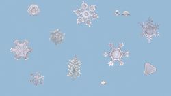 Weather Things: Precipitation Instructional Video