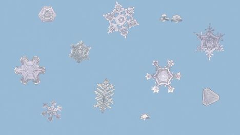 Weather Things: Precipitation