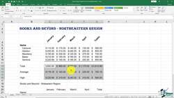 The Complete Excel Guide: Beginners to Advanced - Borders and Shading Instructional Video
