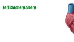 Left coronary artery Instructional Video