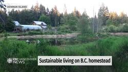 Denman Island, B.C., homesteader says home is about sustainability News Clip