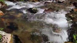 water flowing in a Pyrenean stream Stock Footage