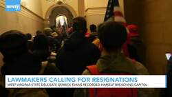 Lawmakers Pushed to Resign for Pro-Trump Rally, Riot Participation News Clip