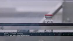 EU approves AstraZeneca vaccine amid supply shortages, delays News Clip