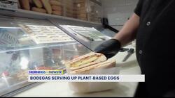 Egg-less egg & cheese sandwiches make bodega debut across Brooklyn News Clip