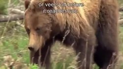 Glacier National Park - Backcountry Summer Camping Instructional Video