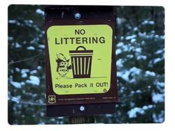 Keeping Earth Healthy: a Healthy Earth Instructional Video