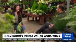 Here's how migrants are contributing to the US economy News Clip