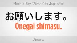 How to Say "Please" in Japanese Instructional Video