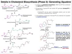 Cholesterol Biosynthesis Stage 3 Generating Squalene & Lanosterol Instructional Video