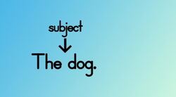 Subjects and Predicates Instructional Video