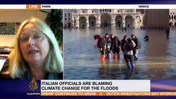 Climate change blamed as 85 percent of Venice under water News Clip