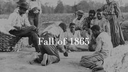 Andrew Johnson and the Rise of Black Codes Instructional Video