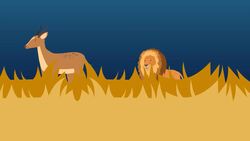 I WONDER - How Do Lions Hunt? Instructional Video