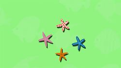 I WONDER - What is a Group of Starfish Called? Instructional Video