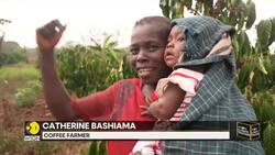 South Sudan bets on climate-resistant Excelsa coffee for revival News Clip