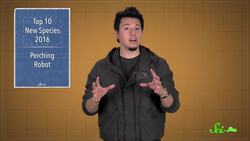 Top New Species for 2016, and a Perching Robot! Instructional Video