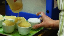 Douglas Fir Snow Cone Intermezzo Instructional Video