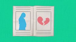 Hazelwood v. Kuhlmeier: Free Speech in School Instructional Video