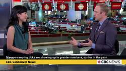 Disease-carrying ticks are showing up earlier in B.C., and in greater numbers News Clip