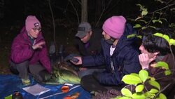 CLEAN : Tired and afraid, migrants hide in EU border forest News Clip