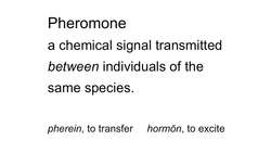 TED: The smelly mystery of the human pheromone | Tristram Wyatt Instructional Video