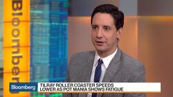 Pot Stocks Present Opportunity of a Lifetime, Navy Capital's Stiefel Says News Clip