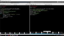 The Complete Ethical Hacking Bootcamp: Beginner To Advanced - Sending Messages Using the While Loop Instructional Video