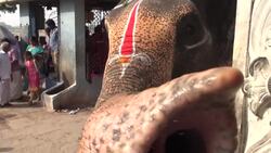 Temples of Tamil Nadu – India Instructional Video